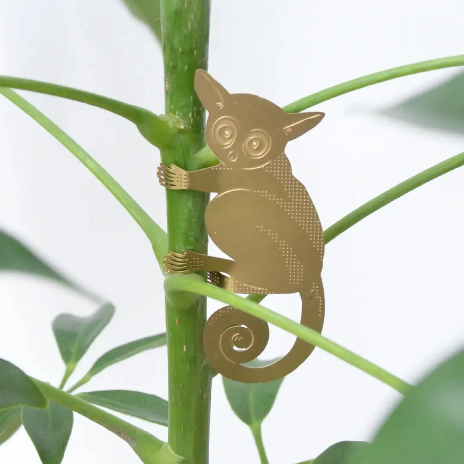 Bush Baby Plant Hanger