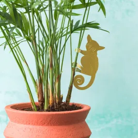 Bush Baby Plant Hanger