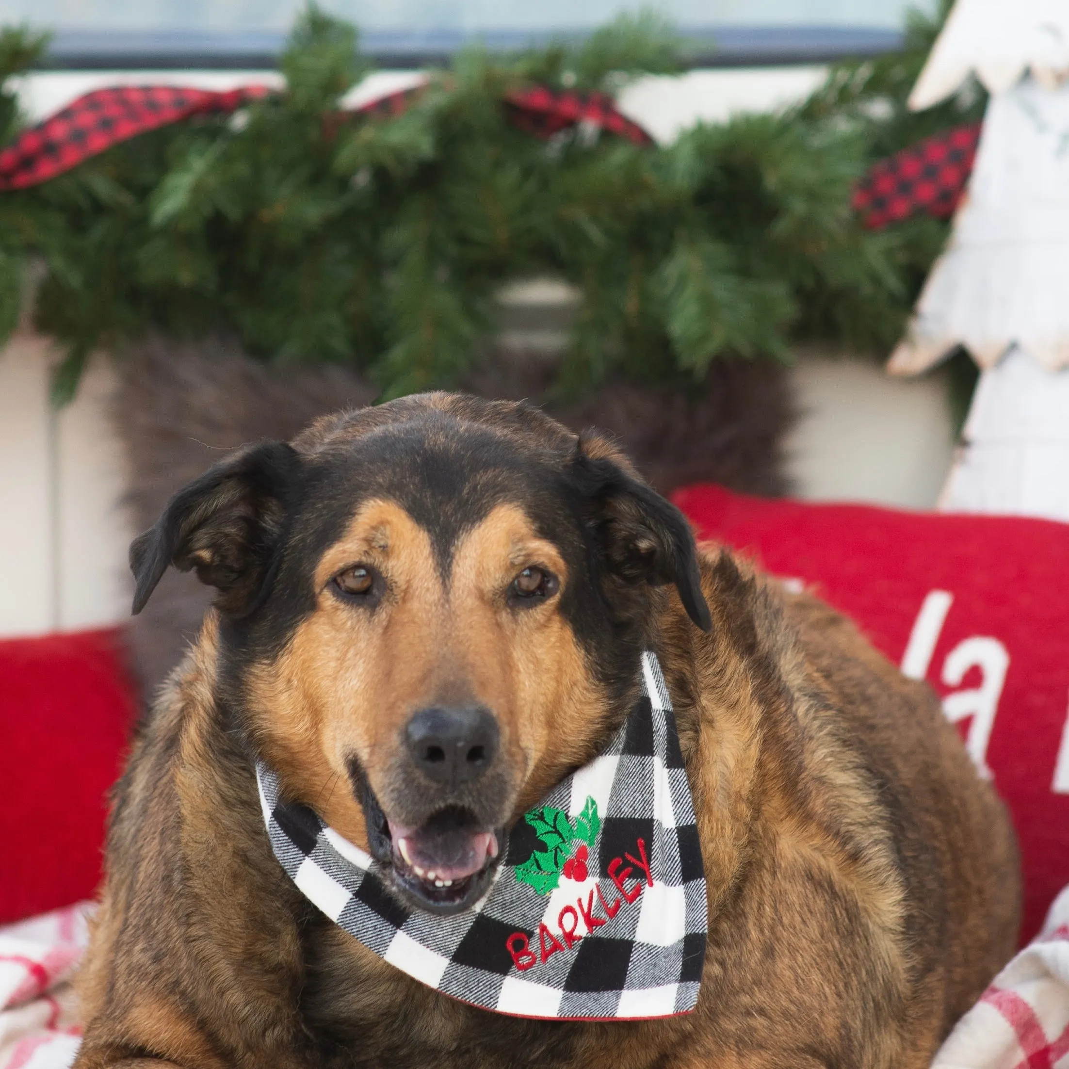 Dog Bandana Buffalo Plaid with Christmas Holly Personalized with Pets Name