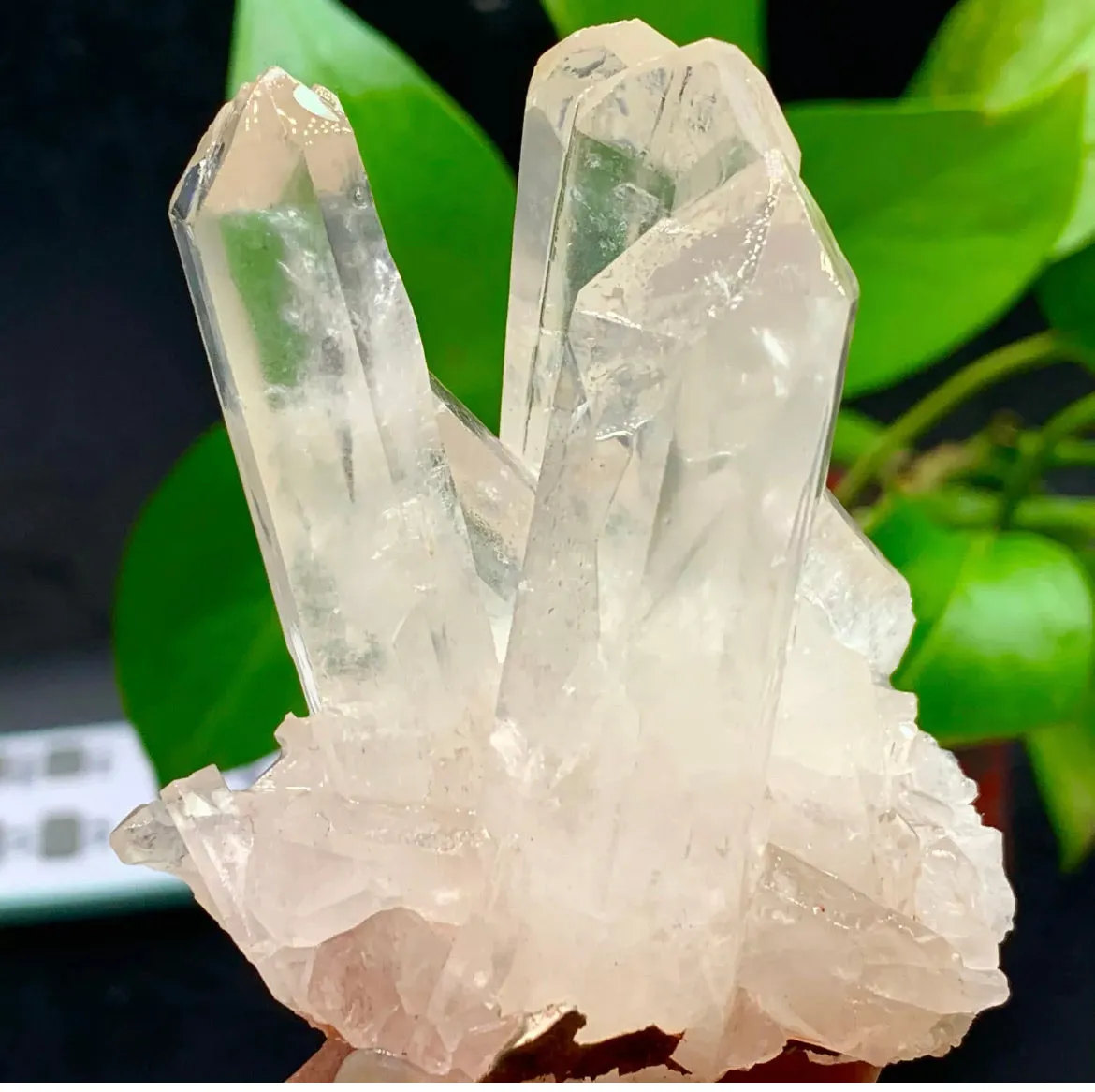 Large Himalayan high-grade quartz clusters / mineralsls healing