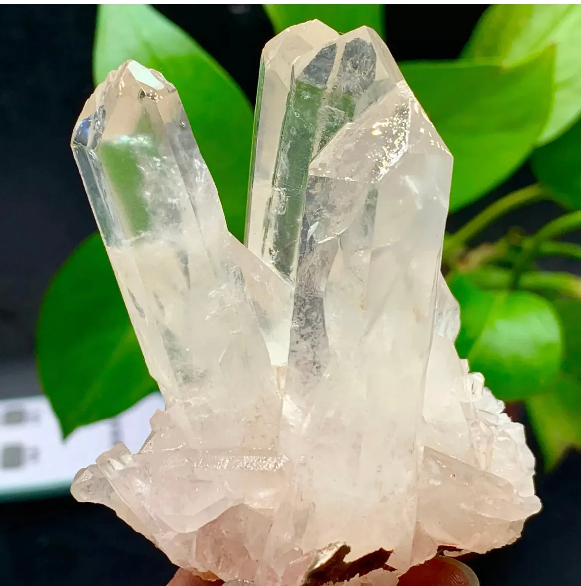 Large Himalayan high-grade quartz clusters / mineralsls healing