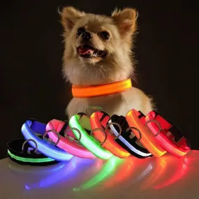 USB Charging LED Dog Collar Dog Safety Night Light Flashing Necklace Fluorescent Collars Pet Supplies